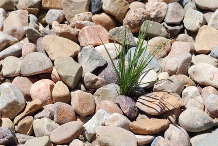 Weed stones