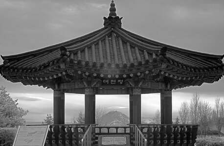 Monochrome mt rainier park photo