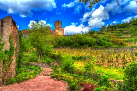 Castle ruins vineyards photo filter photo