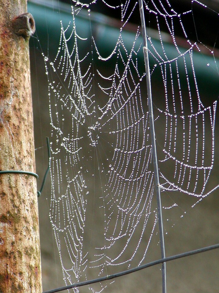 Composition woven spider