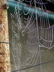 Composition woven spider
