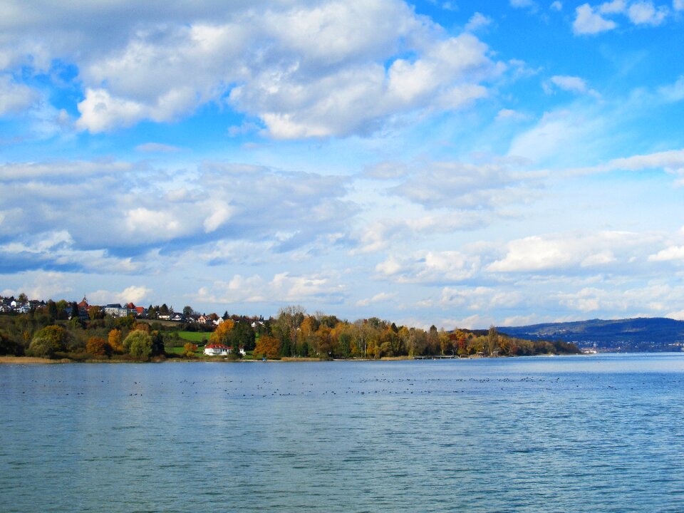Lake mainau water