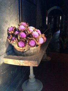 Atmosphere vintage violet