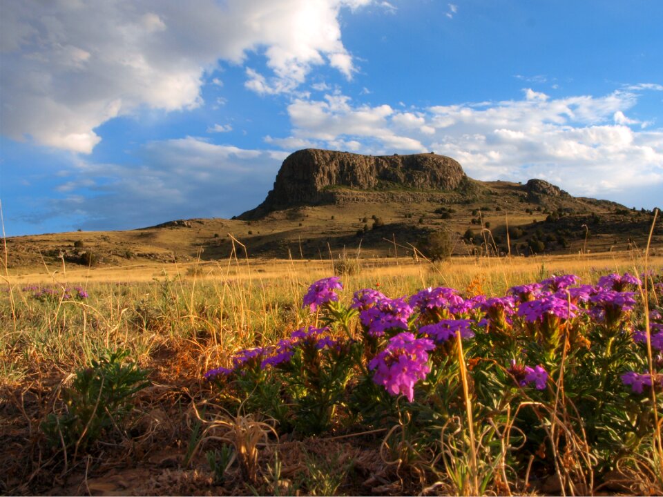 Landscape natural scenery