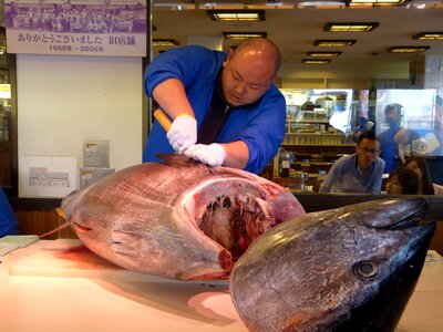 Sashimi man raw photo