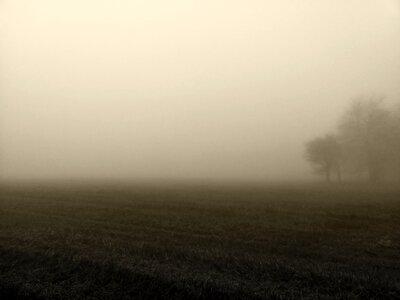 Mood sky field