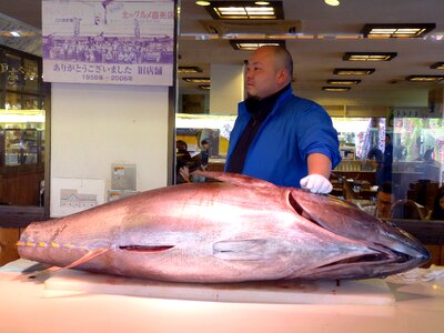 Sashimi man raw photo