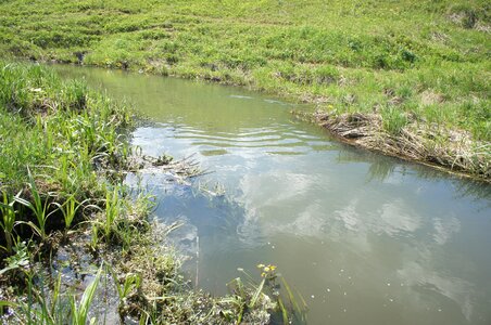 Small river river nature