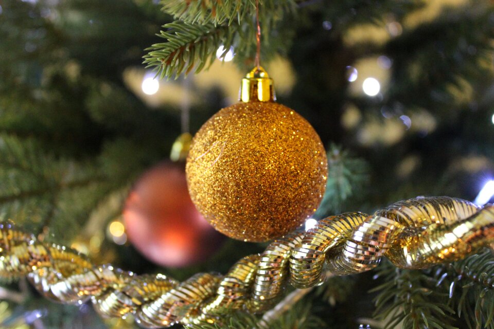 Christmas ornament holiday