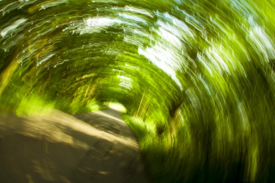 Strudel abstract trees