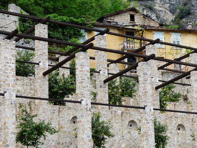 Fruit growing limone limone sul garda