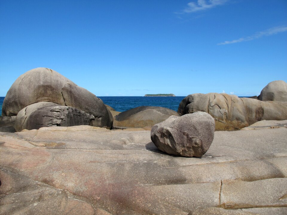 Rocky shore line ecology environment