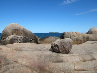 Rocky shore line ecology environment