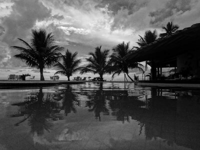 Resort coconuts tropical photo
