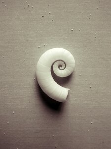 Old sea minimalist