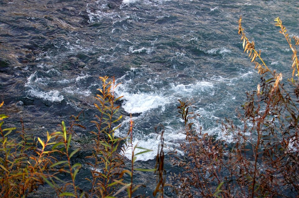 Water nature rapids