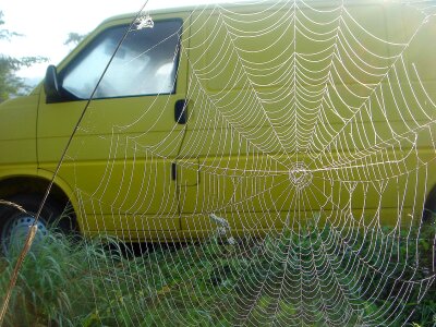 Web large impression