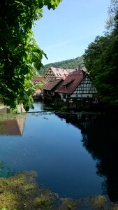 Blaubeuren mirroring trees
