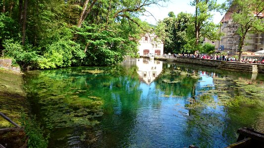 Mirroring trees blaubeuren