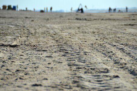 Reprint mature sand