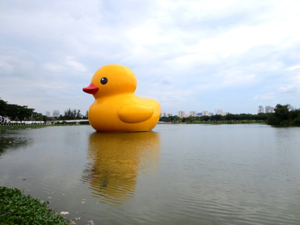 Duck tour florentijn hofman