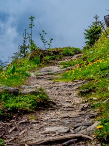 Mountains austria salzburger land photo