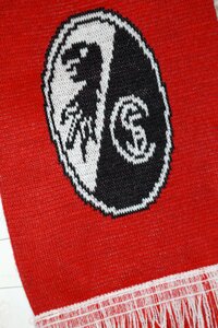 Emblem logo football club