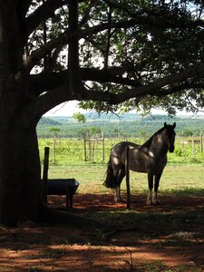 Countryside country