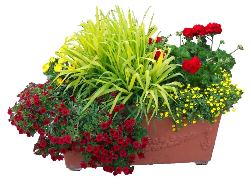 Flowers trough flowers planting