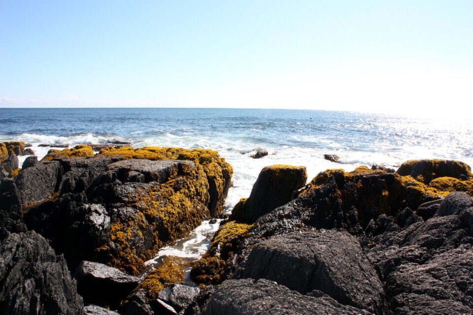 Newfoundland rock outside