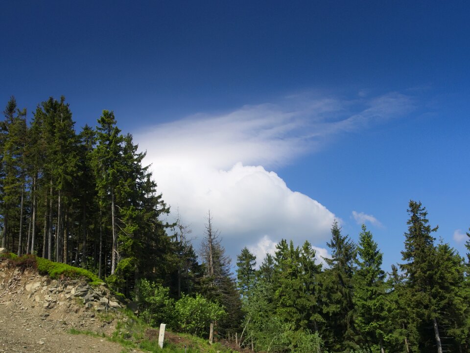 View landscape beskids