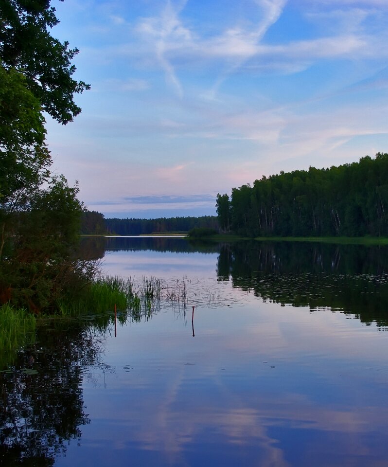 Blue landscape forest