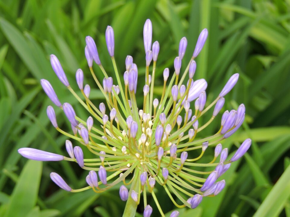 Park garden spring