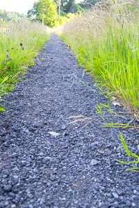 Nature walk