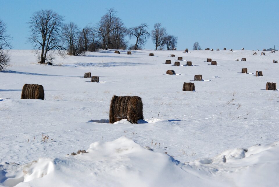 Winter nature weather