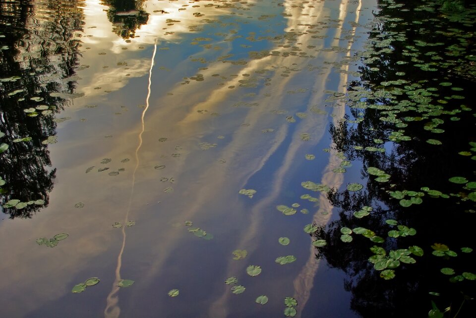 Evening pond sunset