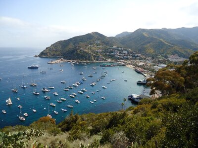 California bay