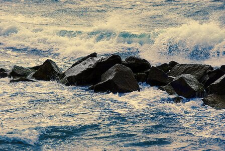 Sea water wave darß photo