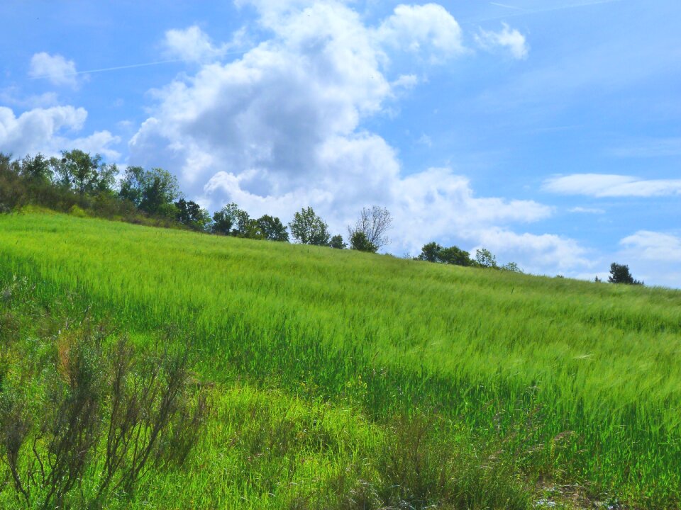 Field promenade spring