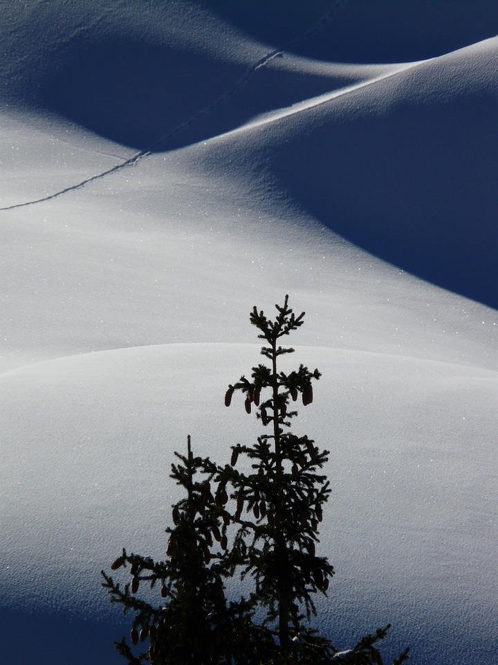 Snowdrift deep snow winter