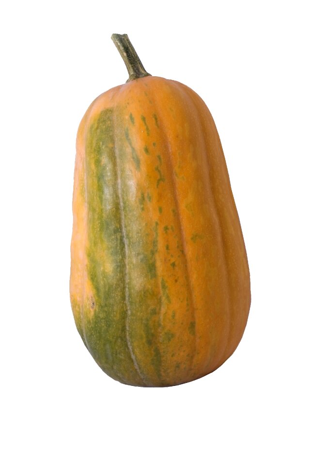 Yellow studio vegetables