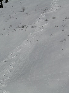 Trace curves snow photo