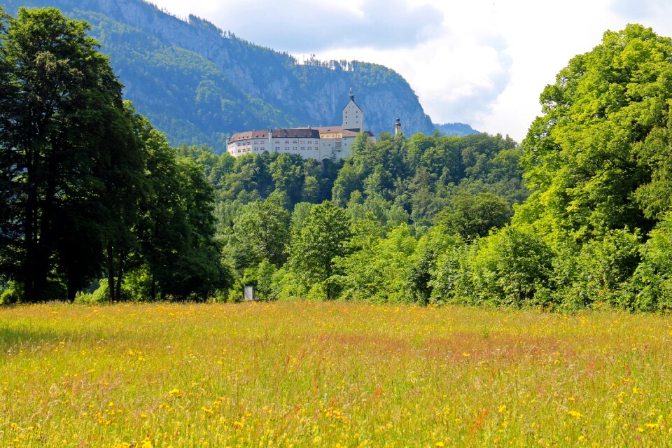 Height burg bavaria trees