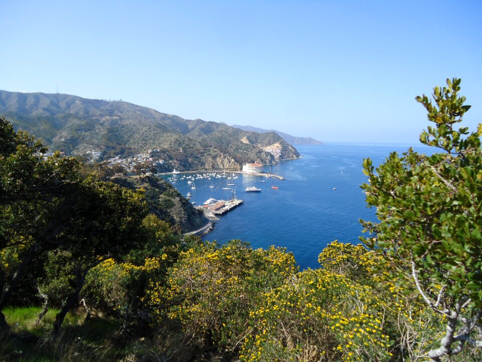 California bay