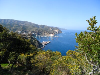 California bay