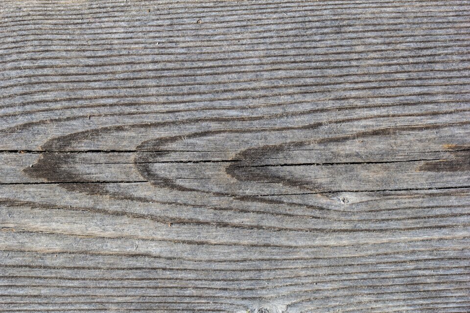 Old pine tree plank background