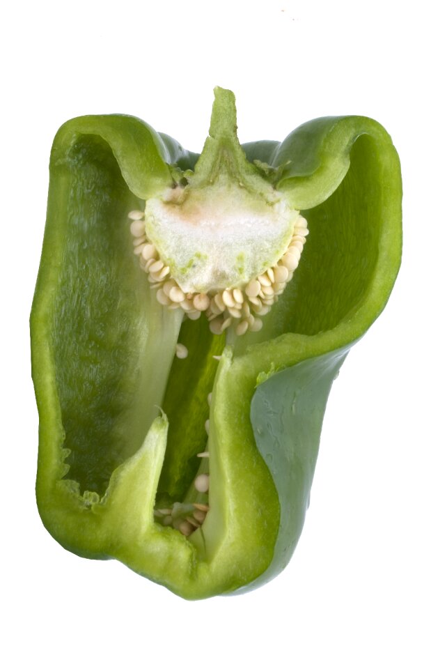 Healthy food vegetarian green