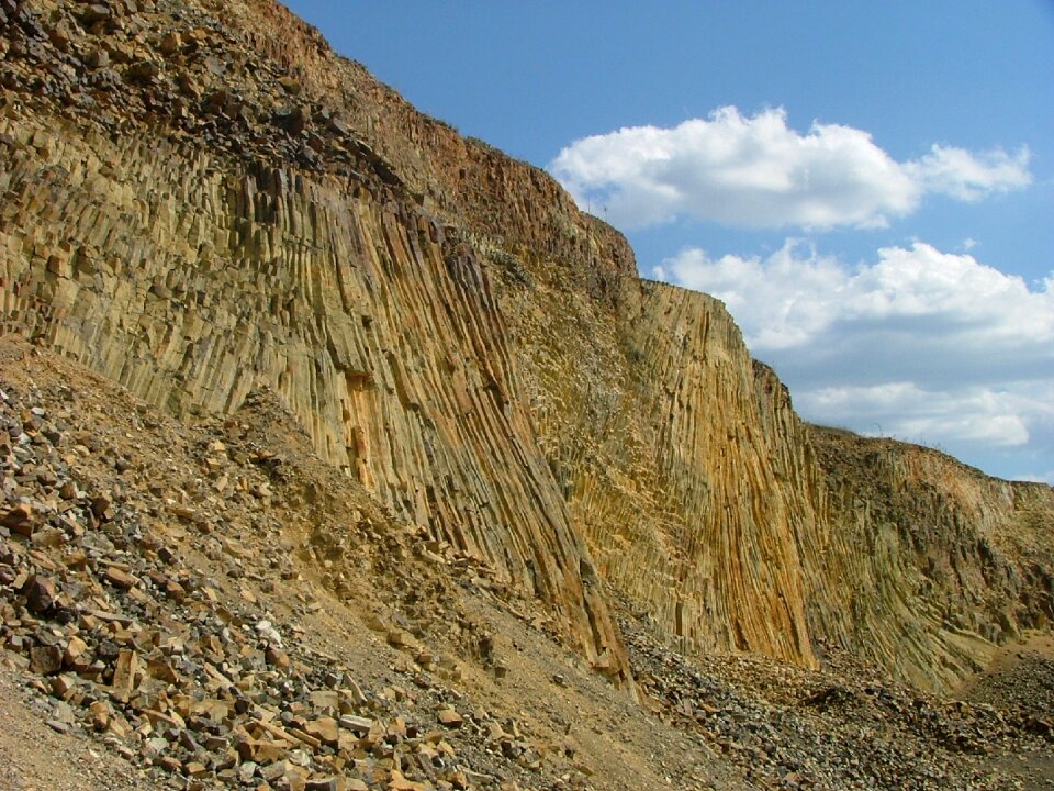 Kőorgona charlotte m zemplémi mountains