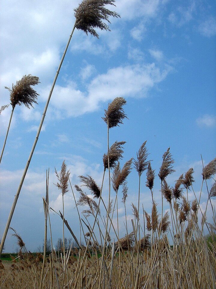 Sky wind movement