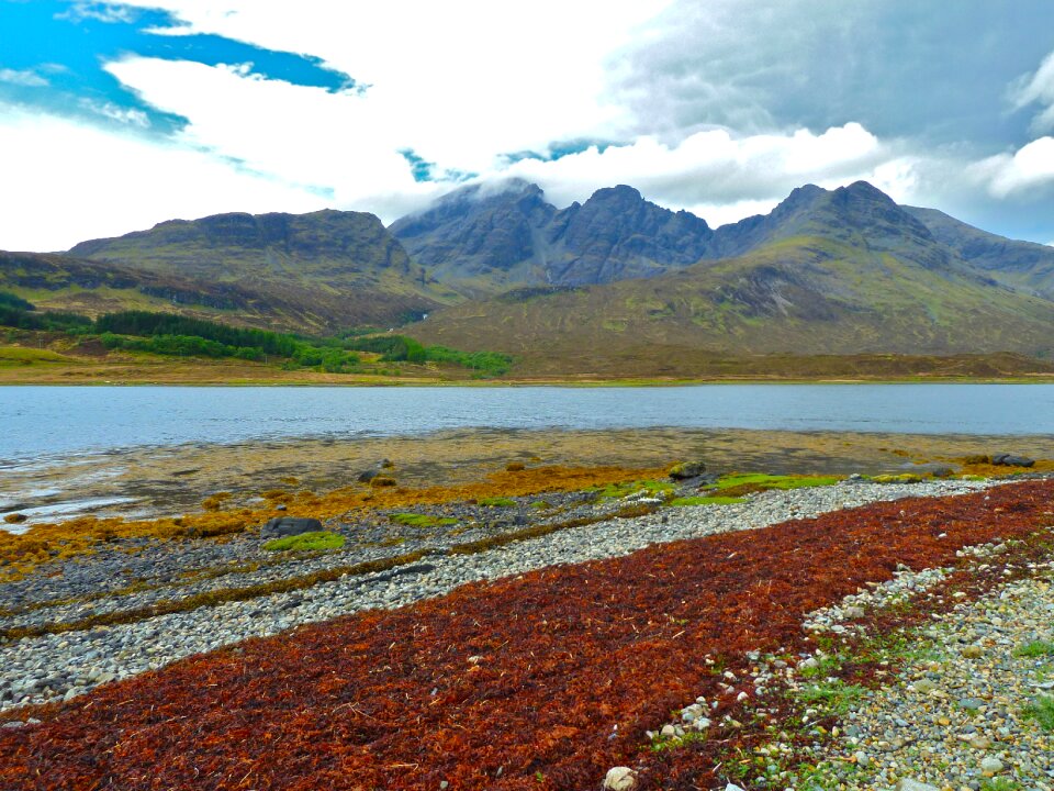 Background view landscape